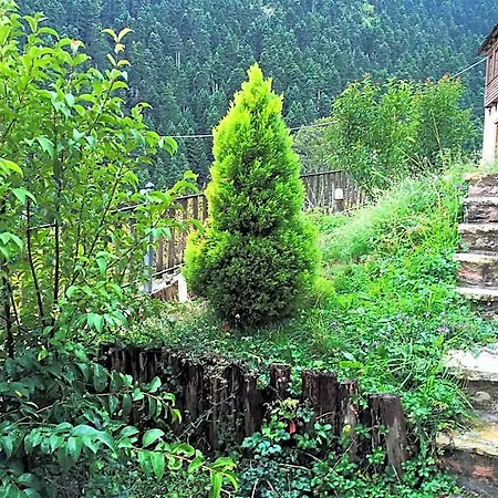 Old Gasthof 4*