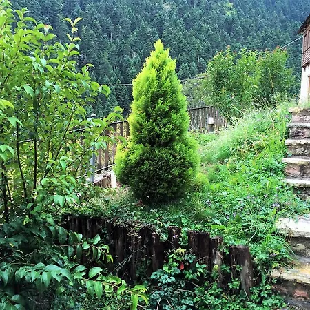 بيت ريفي Old Gorianádhes